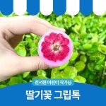 딸기꽃 그립톡