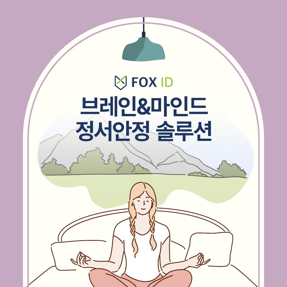 브레인&마인드 정서안정솔루션
